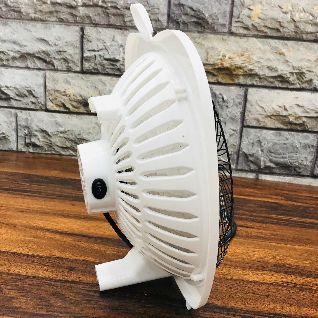 Famous Halogen Electric Dish Heater 250/500 Watt