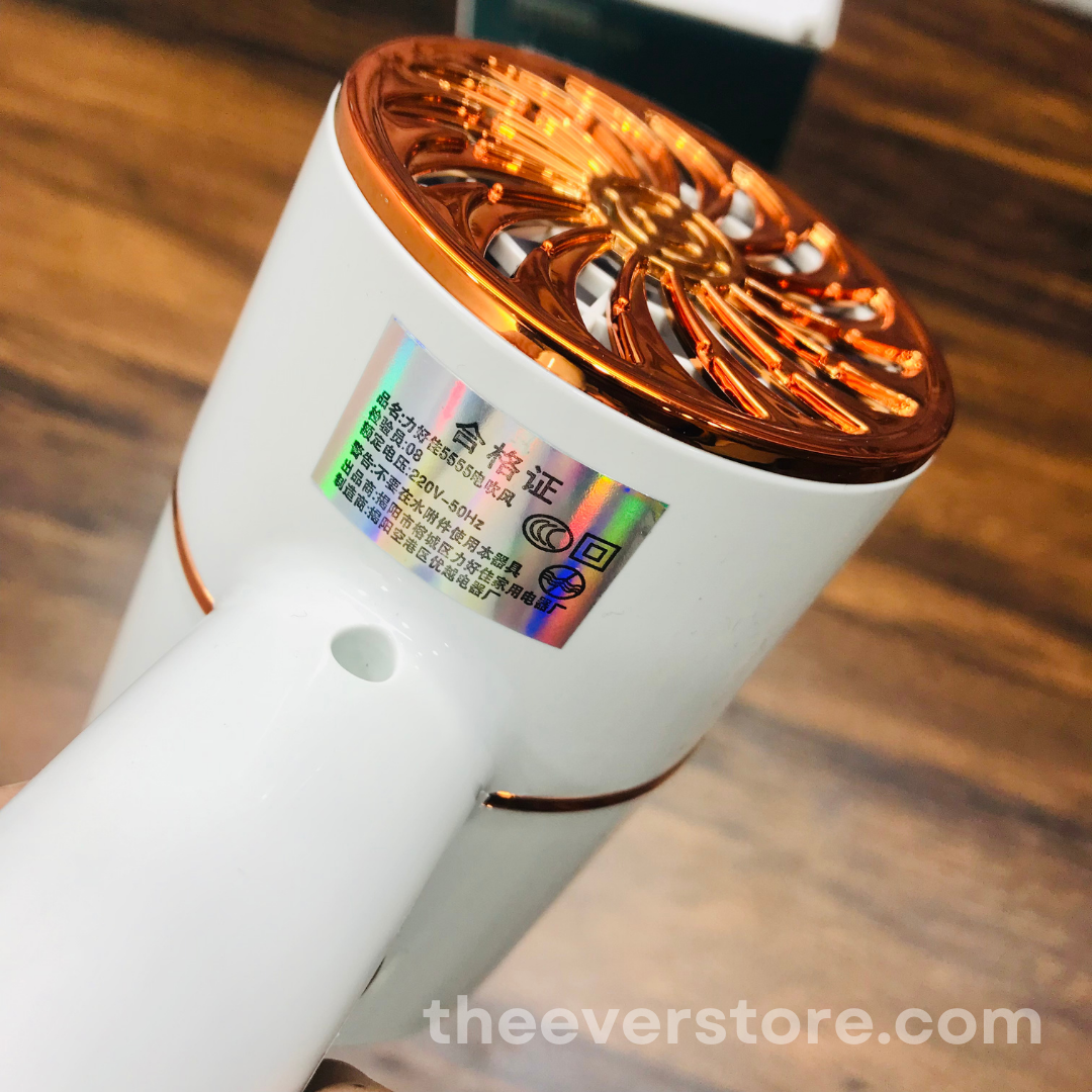 LENGA Professional Hair Dryer